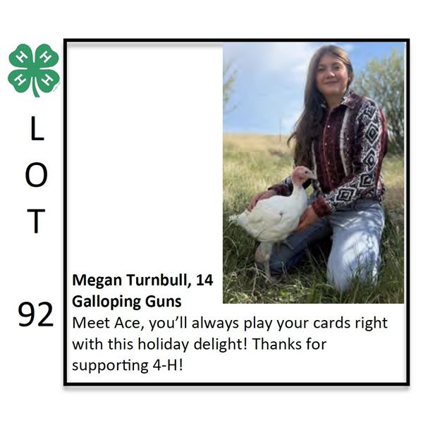 Megan Turnbull - Poultry