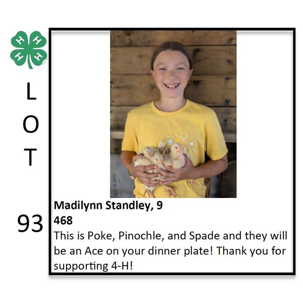 Madilynn Standley - Poultry