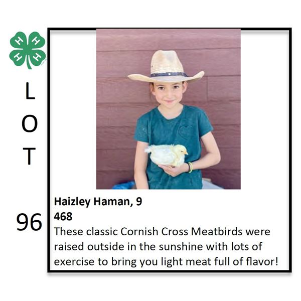 Haizley Haman - Poultry