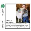 Image 1 : Tuff Hart - Sheep