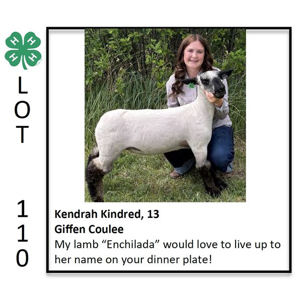 Kendrah Kindred - Sheep