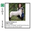 Image 1 : Kendrah Kindred - Sheep