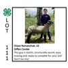 Image 1 : Chase Romanchuk - Sheep