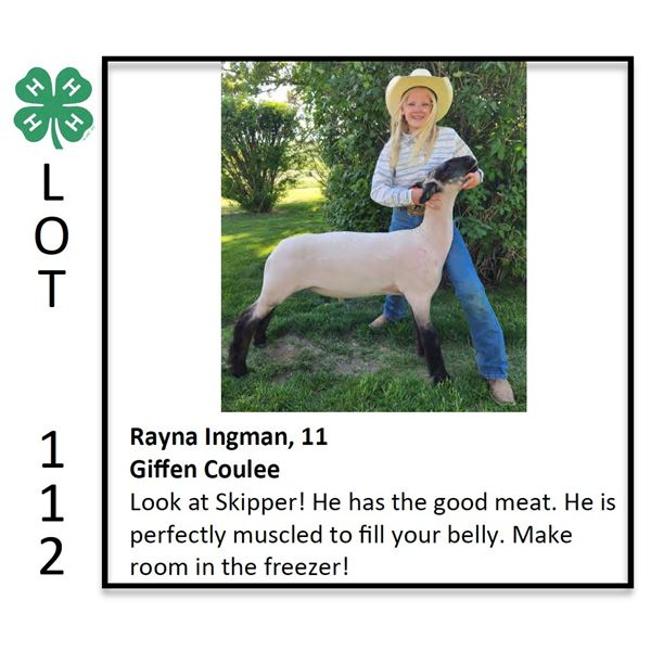 Rayna Ingman - Sheep