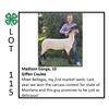 Image 1 : Madison Gange - Sheep