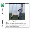 Image 1 : Kassidy Cummings - Sheep