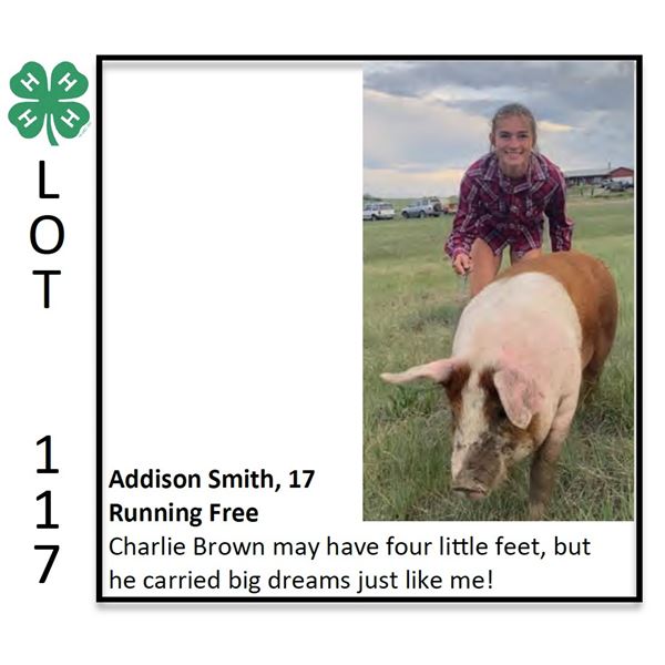 Addison Smith - Swine