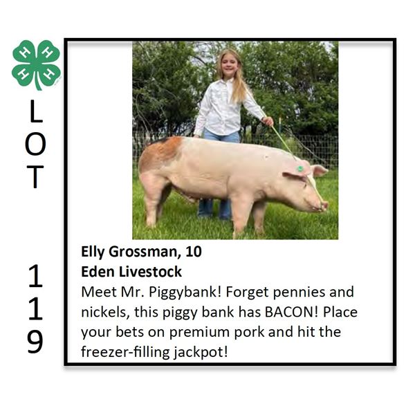 Elly Grossman - Swine