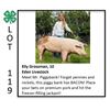 Image 1 : Elly Grossman - Swine