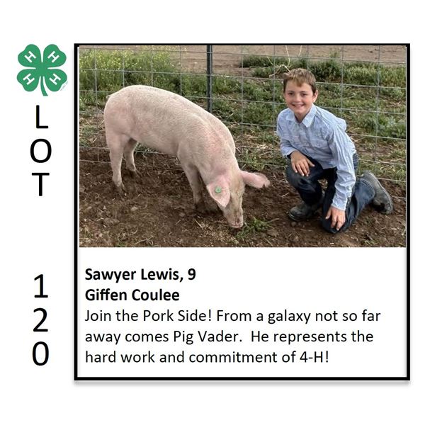 Sawyer Lewis - Swine