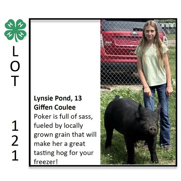 Lynsie Pond - Swine