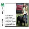 Image 1 : Lynsie Pond - Swine