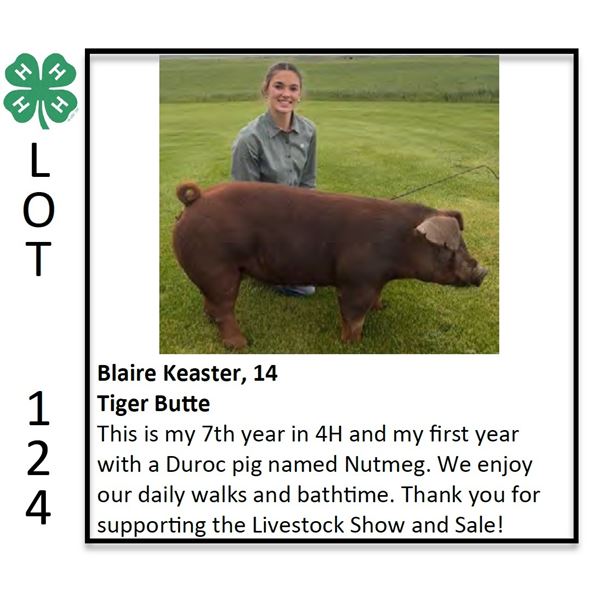 Blaire Keaster - Swine