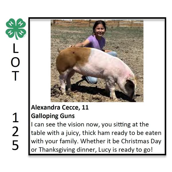 Alexandra Cecce - Swine