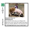 Image 1 : Alexandra Cecce - Swine