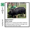Image 1 : Aubrey Pond - Swine