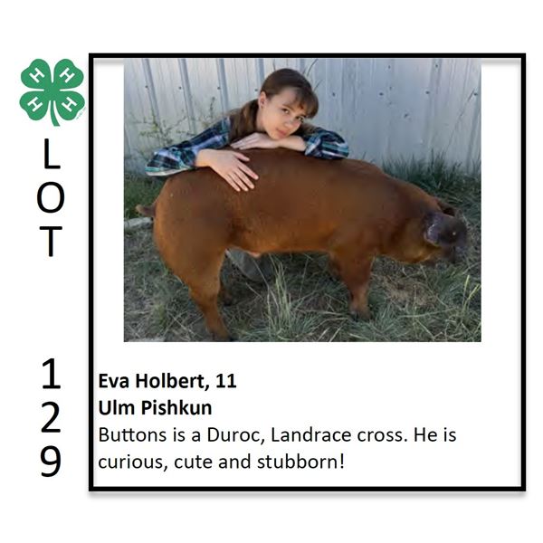 Eva Holbert - Swine