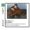 Image 1 : Eva Holbert - Swine
