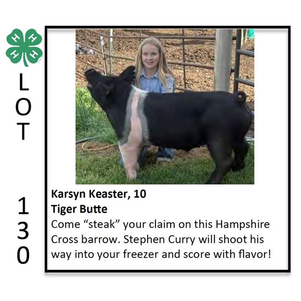 Karsyn Keaster - Swine