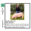 Image 1 : Lyle Grossman - Swine