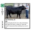 Image 1 : Clairice McKamey - Beef