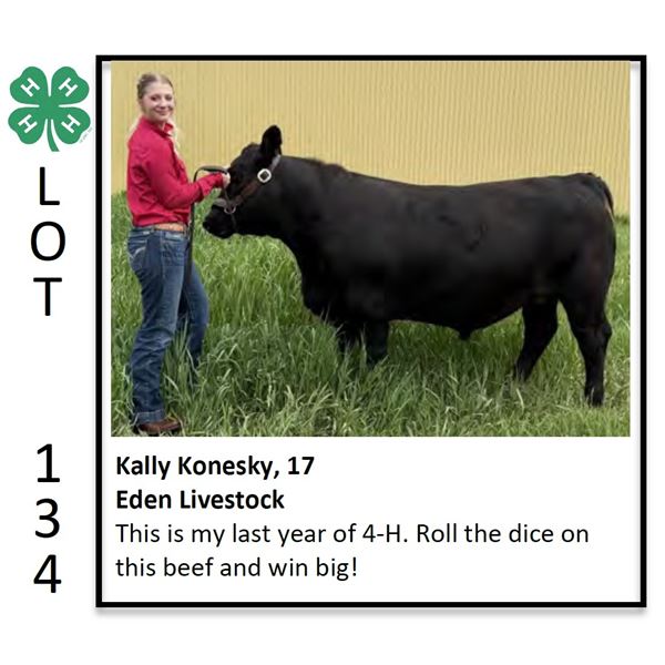 Kally Konesky - Beef