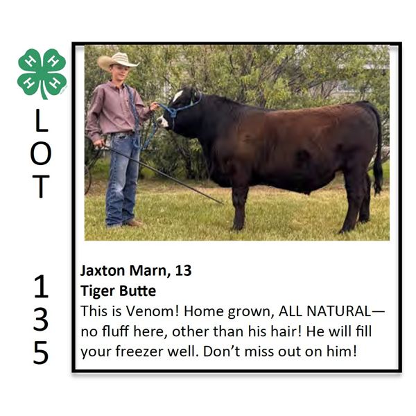 Jaxton Marn - Beef