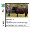 Image 1 : Jaxton Marn - Beef