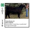 Image 1 : Grand Champion  - Beef - Vivian Byrnes - Beef