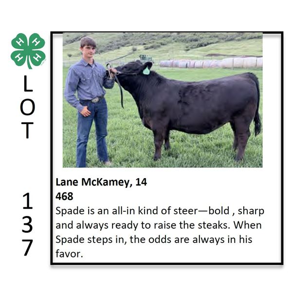 Lane McKamey - Beef