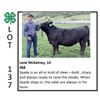 Image 1 : Lane McKamey - Beef