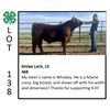 Image 1 : Kinlee Loch - Beef