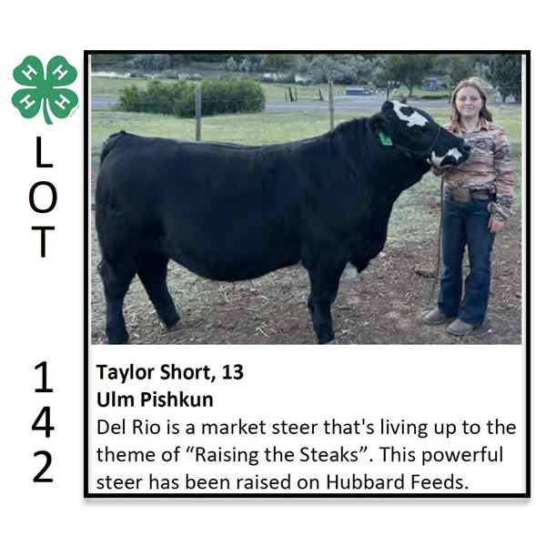 Taylor Short - Beef