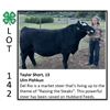 Image 1 : Taylor Short - Beef