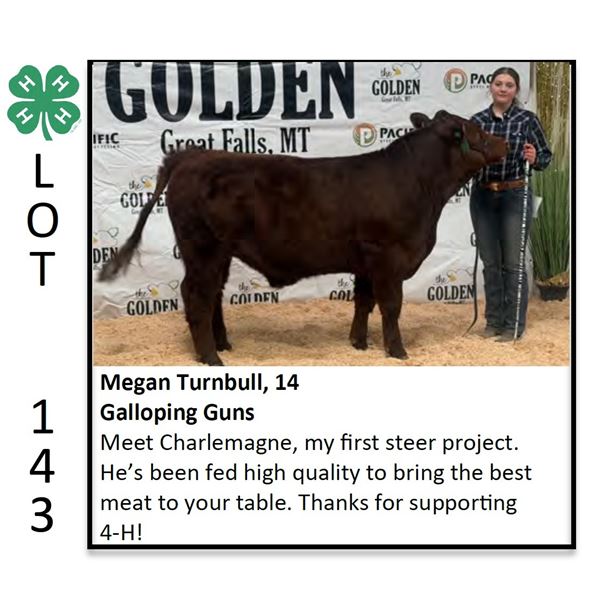 Megan Turnbull - Beef