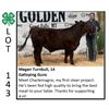 Image 1 : Megan Turnbull - Beef