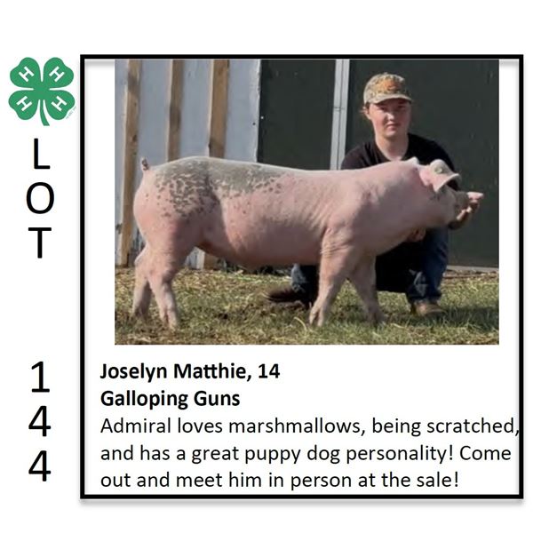 Joselyn Matthie - Swine