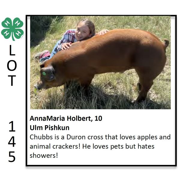 Anna Maria Holbert - Swine