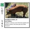 Image 1 : Anna Maria Holbert - Swine