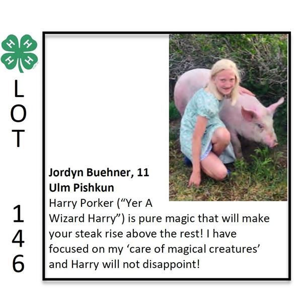 Jordynn Buehner - Swine