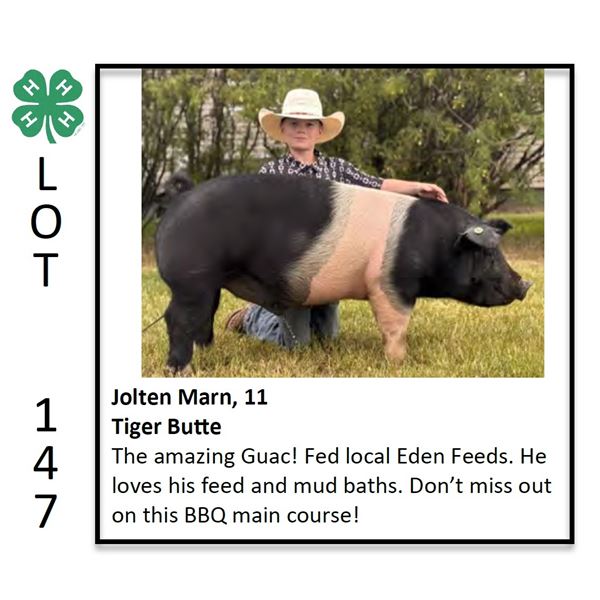 Jolten Marn - Swine