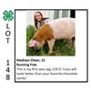 Image 1 : Madison Olsen - Swine