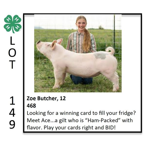 Zoe Butcher - Swine