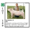 Image 1 : Zoe Butcher - Swine