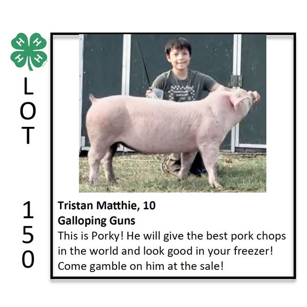 Tristan Cliff - Swine