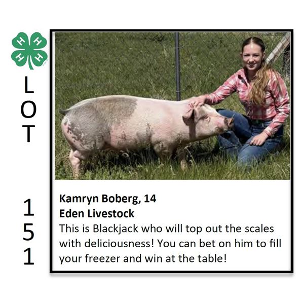 Kamryn Boberg - Swine