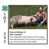 Image 1 : Kamryn Boberg - Swine