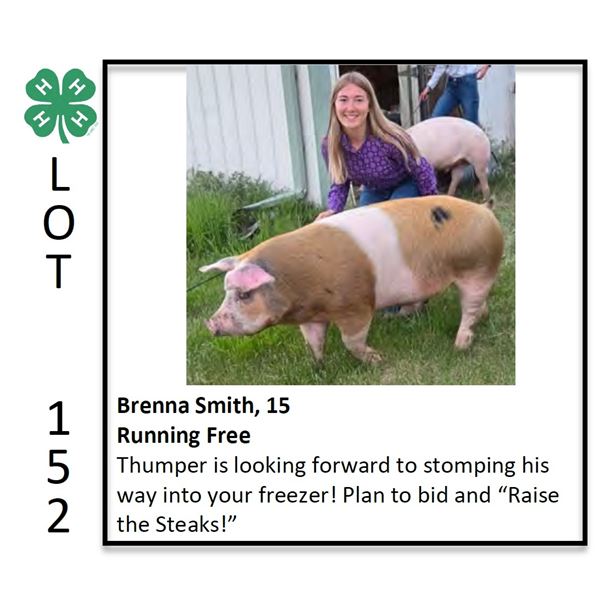 Brenna Smith - Swine