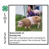 Image 1 : Brenna Smith - Swine