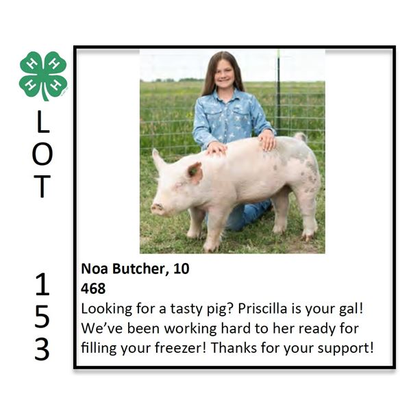 Noa Butcher - Swine